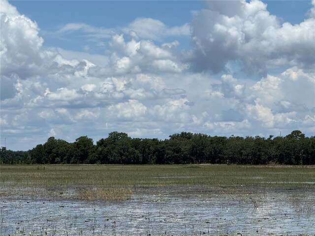 3170 Bright Lake Cir, Groveland, FL 34736 - photo 26