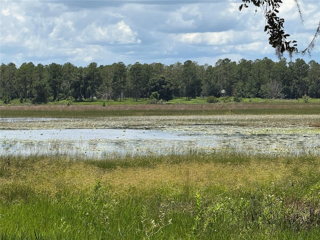 3170 Bright Lake Cir, Groveland, FL 34736 - photo 28