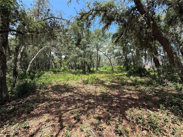3170 Bright Lake Cir, Groveland, FL 34736 - photo 30