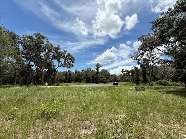 3170 Bright Lake Cir, Groveland, FL 34736 - photo 31