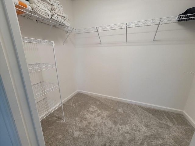 744 Barron Pl, The Villages, FL 32163 - photo 31