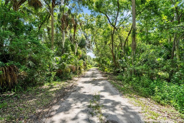 3777 Sipes Ave, Sanford, FL 32773 - photo 8