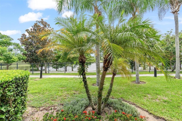 4114 Breakview Dr Unit 110, Orlando, FL 32819 - view of yard