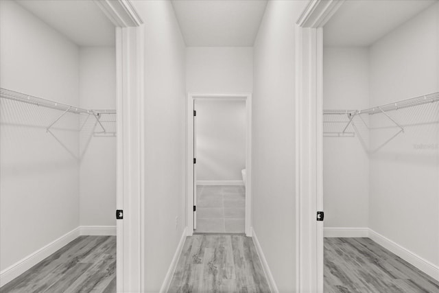 16057 SW 17th Ave, Ocala, FL 34473 - walk in closet featuring light wood-style flooring