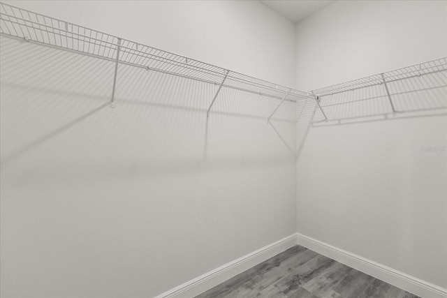16057 SW 17th Ave, Ocala, FL 34473 - spacious closet with wood finished floors