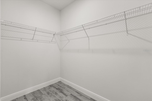 16057 SW 17th Ave, Ocala, FL 34473 - spacious closet featuring wood finished floors