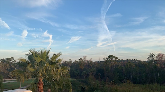 490 Muirfield Loop, Reunion, FL 34747 - photo 84