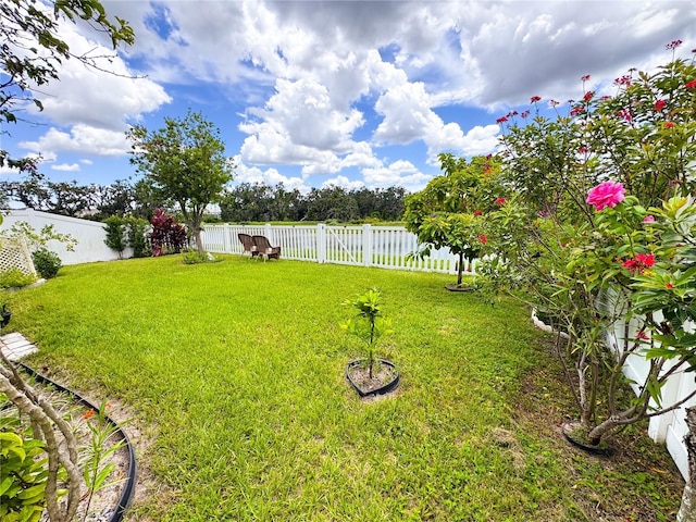 11124 Leland Groves Dr, Riverview, FL 33579 - photo 31