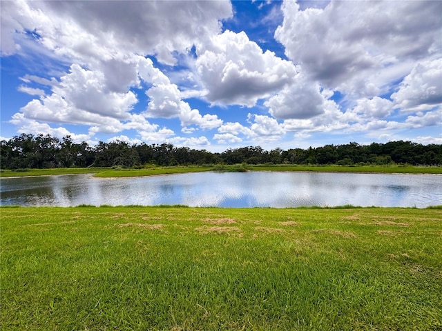11124 Leland Groves Dr, Riverview, FL 33579 - photo 41