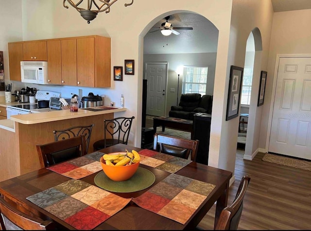 4805 SW 171st Ct, Dunnellon, FL 34432 - dining area with arched walkways, dark wood-style flooring, and a ceiling fan
