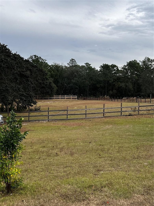 4805 SW 171st Ct, Dunnellon, FL 34432 - view of yard featuring a rural view