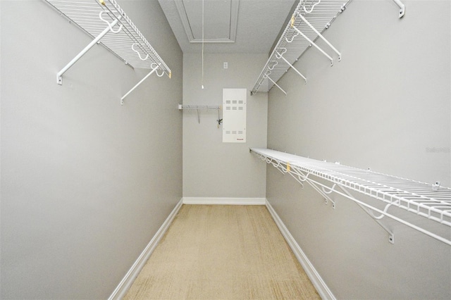 1649 Lake Baldwin Ln, Orlando, FL 32814 - spacious closet with attic access and light carpet