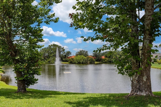7728 Balharbour Dr, New Port Richey, FL 34653 - photo 24