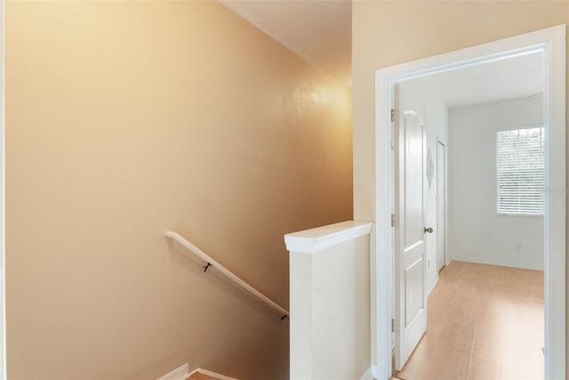 9492 Flowering Cottonwood Rd Unit 82, Orlando, FL 32832 - photo 13