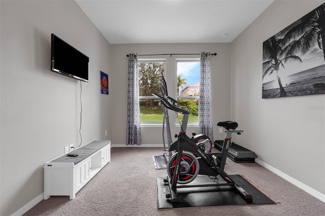 1270 Fountain Coin Loop, Orlando, FL 32828 - workout room with light carpet