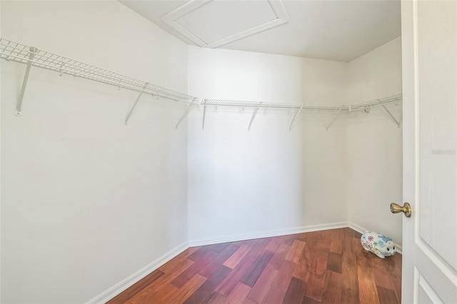 7716 Nottinghill Sky Dr, Apollo Beach, FL 33572 - walk in closet featuring dark wood finished floors