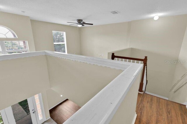 3322 Park Branch Ave, Clermont, FL 34711 - photo 21