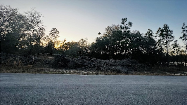 0000 SW 202nd Ct, Dunnellon, FL 34431 - photo 4