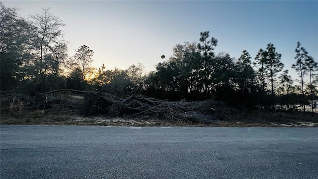 0000 SW 202nd Ct, Dunnellon, FL 34431 - photo 5