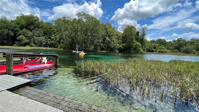 0000 SW 202nd Ct, Dunnellon, FL 34431 - photo 9