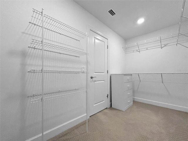 6256 Baywood Ct, Bradenton, FL 34211 - spacious closet with carpet floors