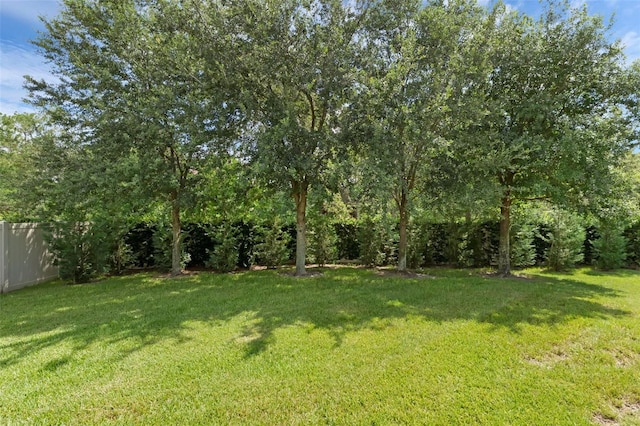 13525 Gorgona Isle Dr, Windermere, FL 34786 - view of yard
