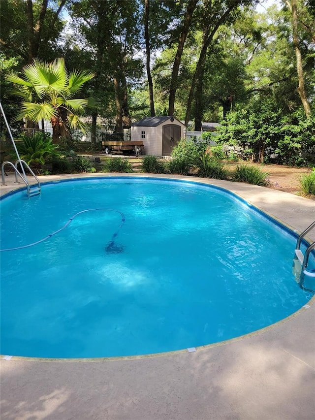 2320 NE 43rd St, Ocala, FL 34479 - outdoor pool featuring a storage unit and view of scattered trees