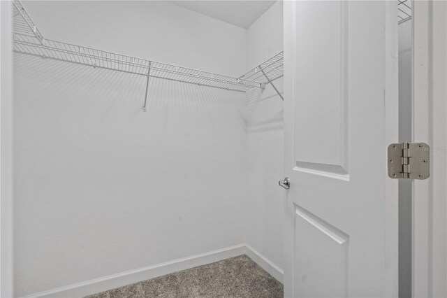 9069 Pinch Shot Dr, Winter Garden, FL 34787 - photo 26