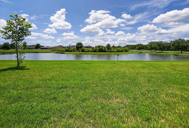 16082 Sonoma Grove Cir, Tampa, FL 33647 - photo 40