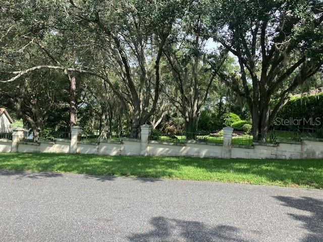 114 W Magnolia Ave, Howey In The Hills, FL 34737 - photo 2