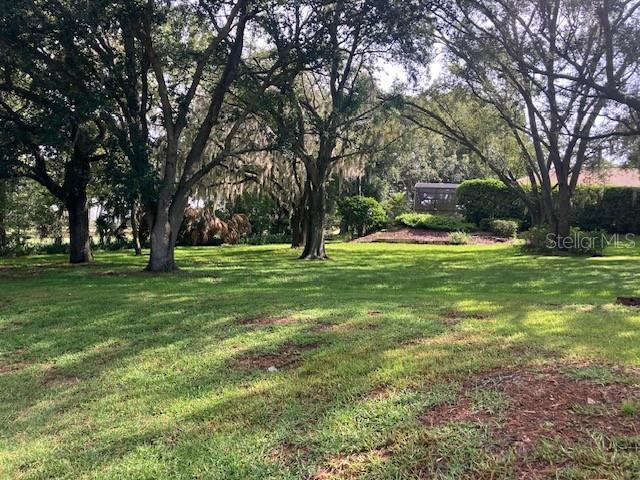 114 W Magnolia Ave, Howey In The Hills, FL 34737 - photo 3