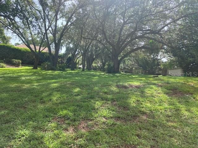 114 W Magnolia Ave, Howey In The Hills, FL 34737 - photo 4