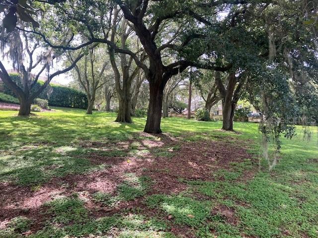 114 W Magnolia Ave, Howey In The Hills, FL 34737 - photo 5