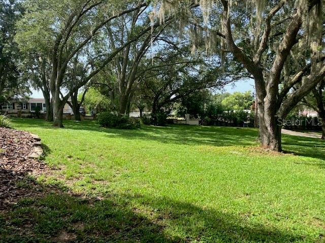 114 W Magnolia Ave, Howey In The Hills, FL 34737 - photo 6
