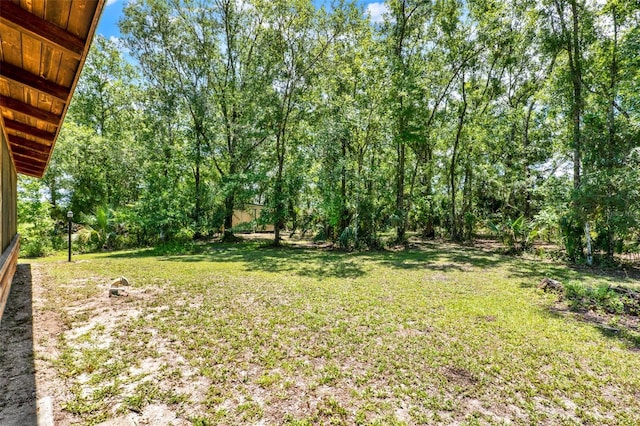 187 N Samsula Dr, New Smyrna Beach, FL 32168 - photo 49