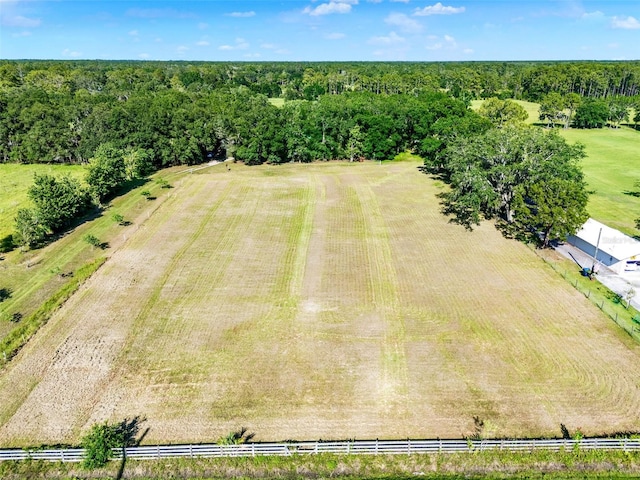187 N Samsula Dr, New Smyrna Beach, FL 32168 - photo 56
