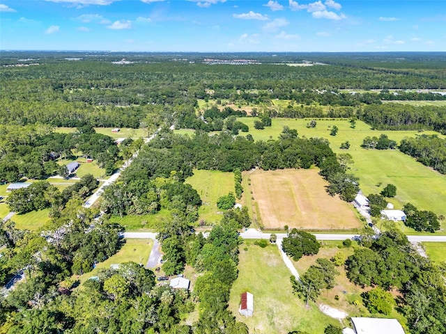 187 N Samsula Dr, New Smyrna Beach, FL 32168 - photo 62