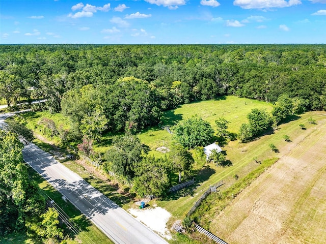 187 N Samsula Dr, New Smyrna Beach, FL 32168 - photo 71