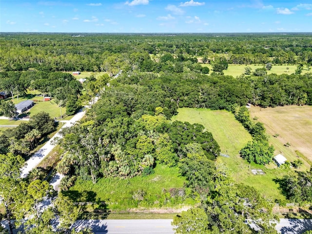 187 N Samsula Dr, New Smyrna Beach, FL 32168 - photo 72