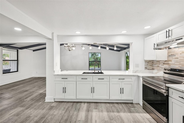 18015 Beach St, Umatilla, FL 32784 - kitchen with electric range, under cabinet range hood, light wood-style floors, tasteful backsplash, and light countertops