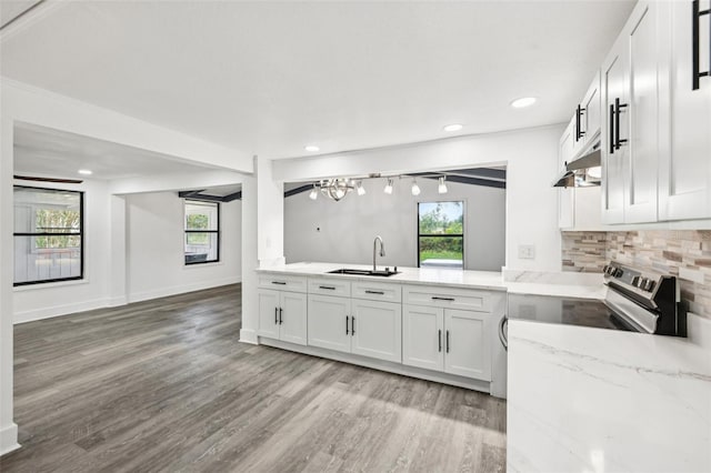 18015 Beach St, Umatilla, FL 32784 - kitchen featuring healthy amount of natural light, under cabinet range hood, backsplash, light wood-style flooring, and recessed lighting