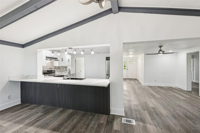 18015 Beach St, Umatilla, FL 32784 - kitchen with a ceiling fan, stainless steel appliances, white cabinetry, wood finished floors, and under cabinet range hood