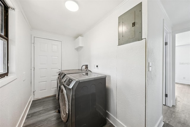 18015 Beach St, Umatilla, FL 32784 - washroom with electric panel, wood finished floors, ornamental molding, and washer and clothes dryer