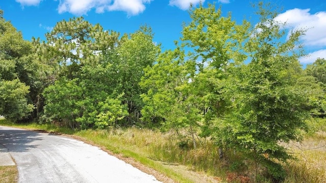 Bahia Rd, Ocala, FL 34472 - photo 2