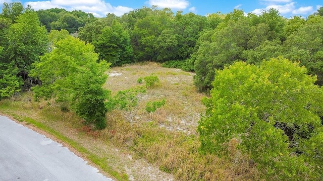 Bahia Rd, Ocala, FL 34472 - photo 3