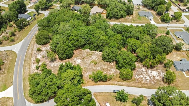 Bahia Rd, Ocala, FL 34472 - photo 4