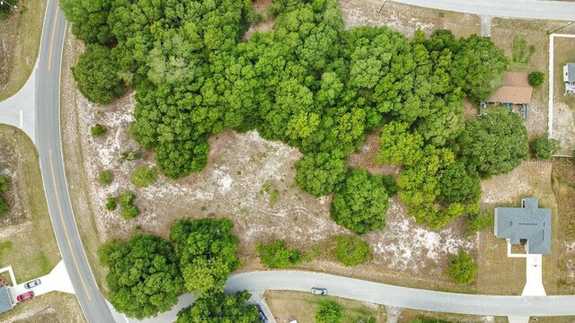 Bahia Rd, Ocala, FL 34472 - photo 6
