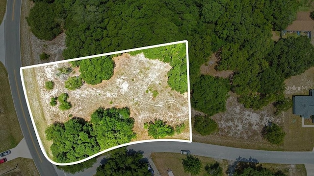 Bahia Rd, Ocala, FL 34472 - photo 12