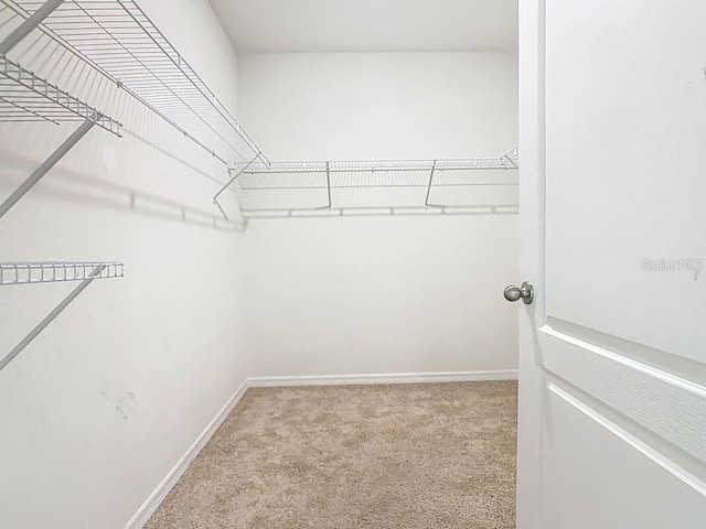 313 Sofia Ln, Lake Alfred, FL 33850 - spacious closet featuring carpet