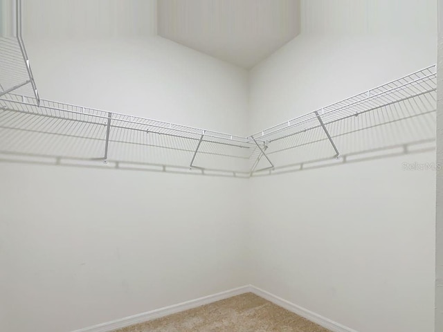 313 Sofia Ln, Lake Alfred, FL 33850 - spacious closet with light carpet